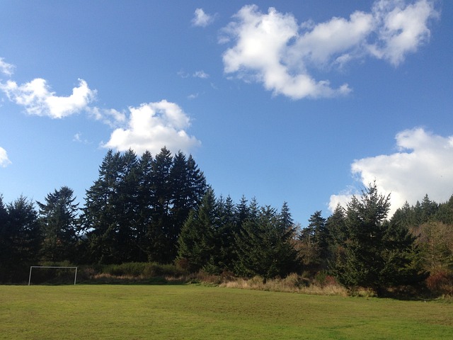 样需